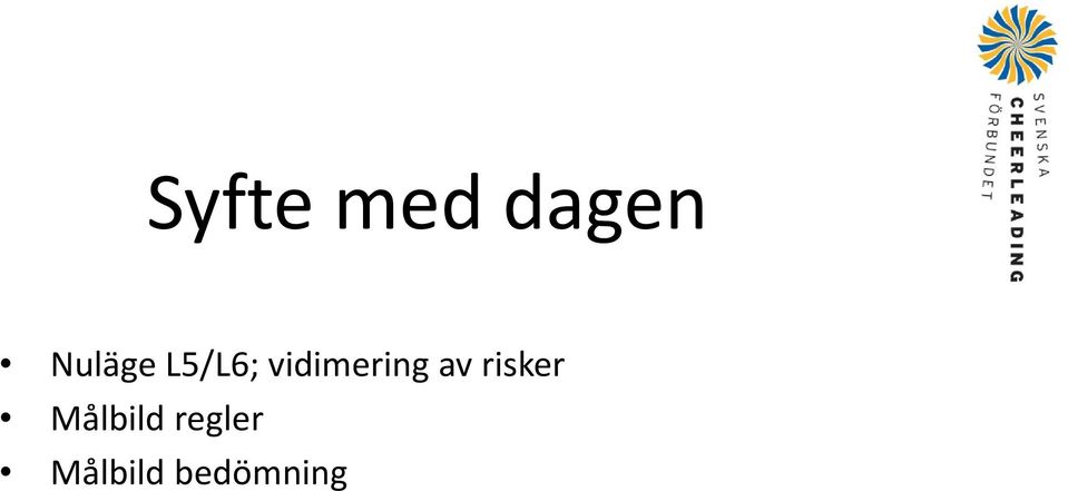 vidimering av risker