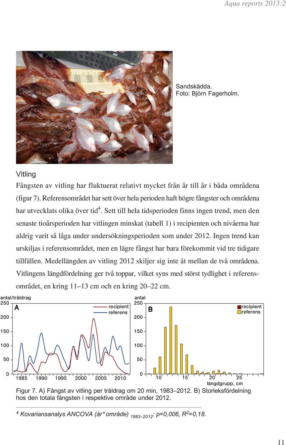 Sett till hela tidsperioden finns ingen trend, men den senaste tioårsperioden har vitlingen minskat (tabell 1) i en och nivåerna har aldrig varit så låga under undersökningsperioden som under 212.