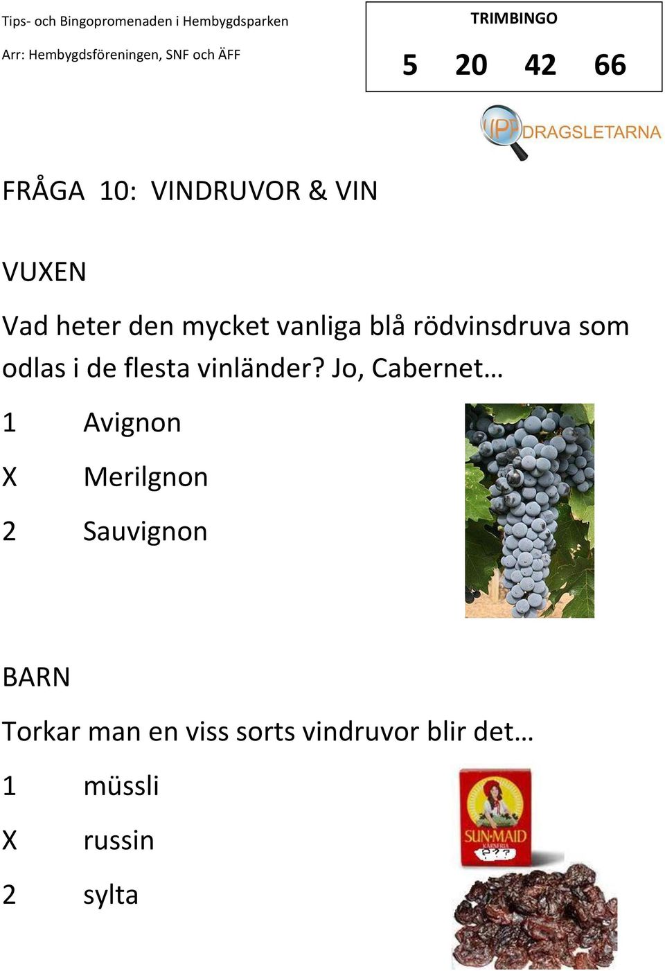 vinländer?