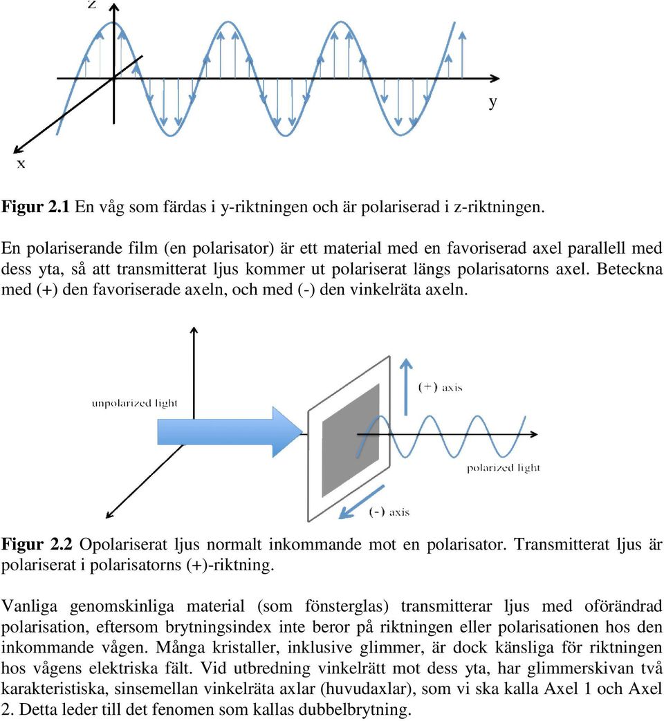 Beteckna med (+) den favoriserade axeln, och med (-) den vinkelräta axeln. Figur 2.2 Opolariserat ljus normalt inkommande mot en polarisator.