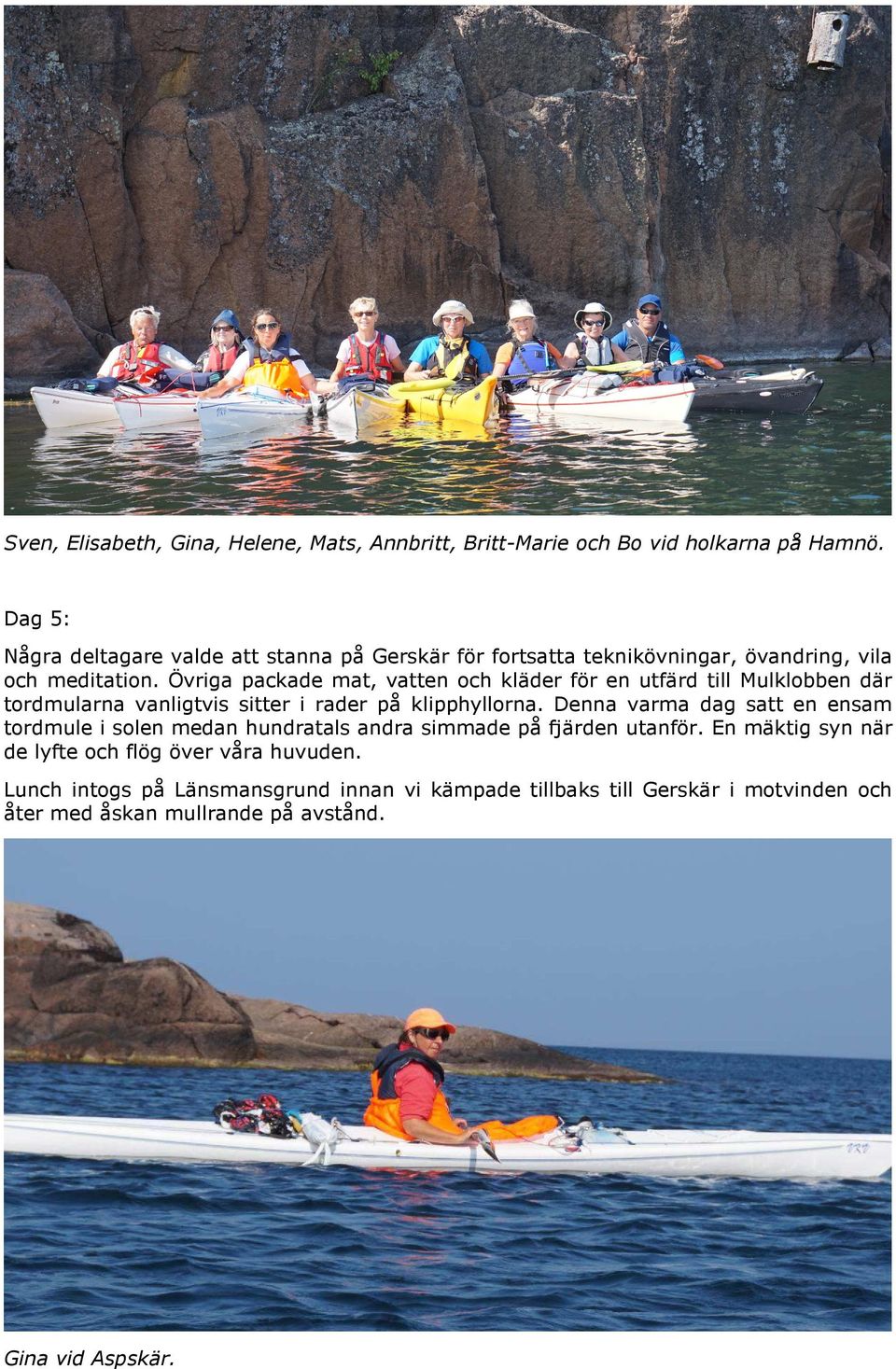 Övriga packade mat, vatten och kläder för en utfärd till Mulklobben där tordmularna vanligtvis sitter i rader på klipphyllorna.