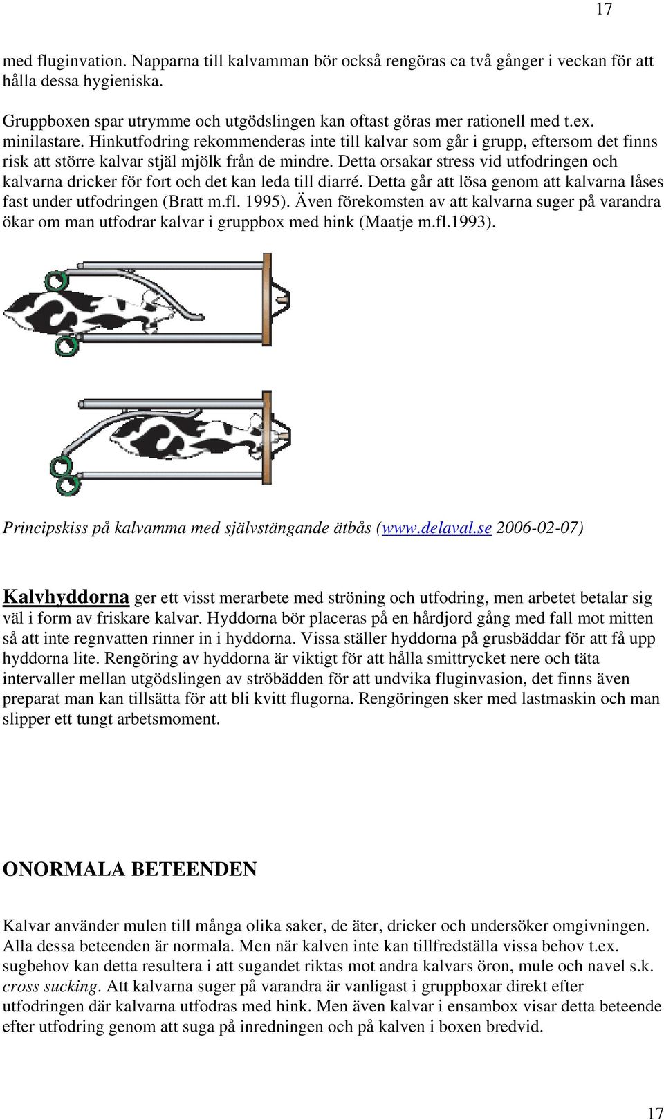 Detta orsakar stress vid utfodringen och kalvarna dricker för fort och det kan leda till diarré. Detta går att lösa genom att kalvarna låses fast under utfodringen (Bratt m.fl. 1995).