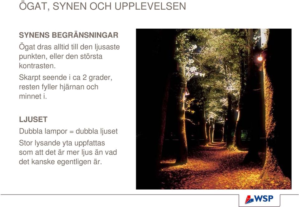 Skarpt seende i ca 2 grader, resten fyller hjärnan och minnet i.