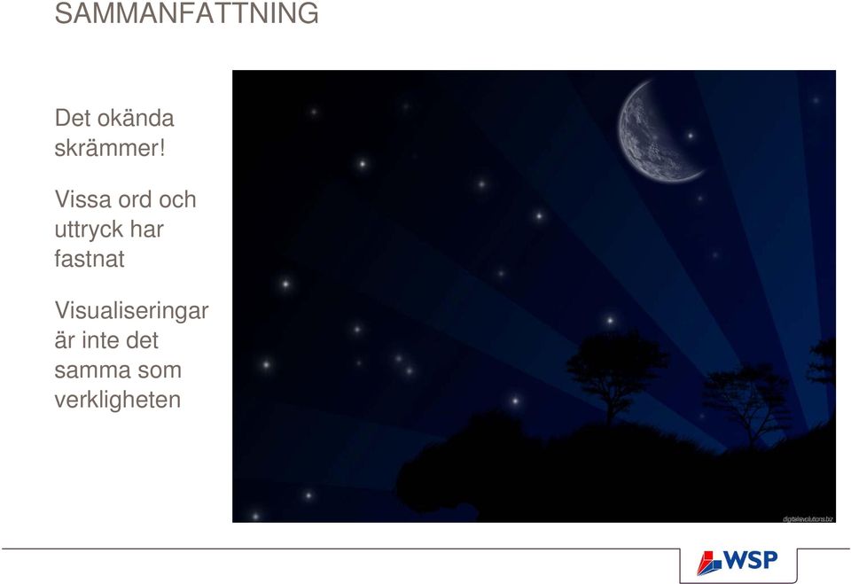 Vissa ord och uttryck har