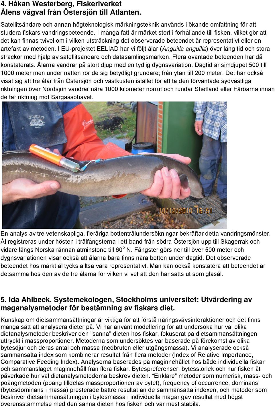 I många fatt är märket stort i förhållande till fisken, vilket gör att det kan finnas tvivel om i vilken utsträckning det observerade beteendet är representativt eller en artefakt av metoden.