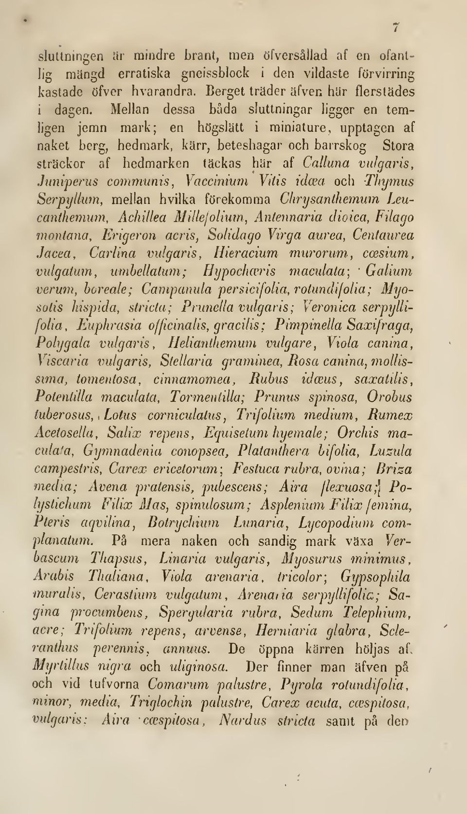 vulgaris, Juniperus communis, Vacciniwn Vitis idoea och Thymus Serpyllum, mellan hvilka förekomma Chrysanthemum Leucanthemum, Achillea Millejoliwn, Anlennaria clioica, Filago mon/ana, Erigeron acris,