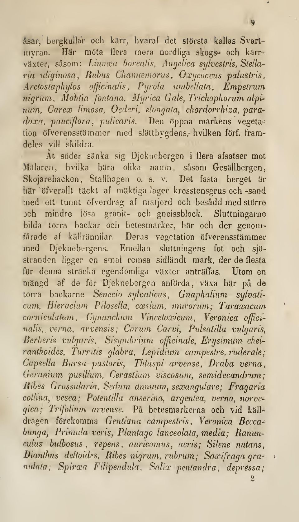 umhdlatn, Empetrum nigrum, Mohtia fontana, Mynca Gale,Tricliopliorum alpiiium, Carex limosa, Oederi, elongala, chordorrhiza, paradoxa. pauciflora^ pulicark.