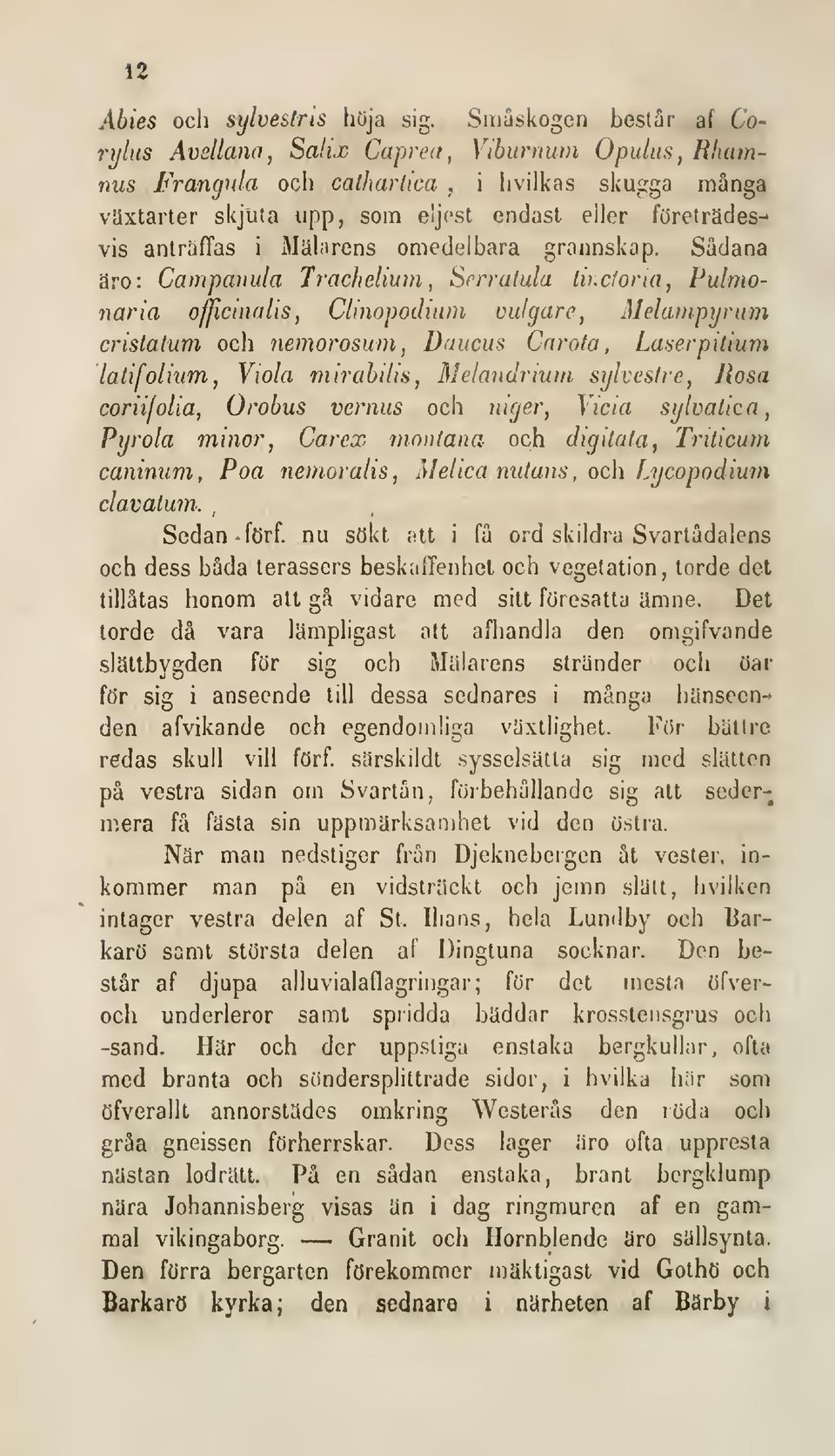 i Mälarens omedelbara grannskap. Sådana äro: Campanula Trachelium, Srrratula lii.