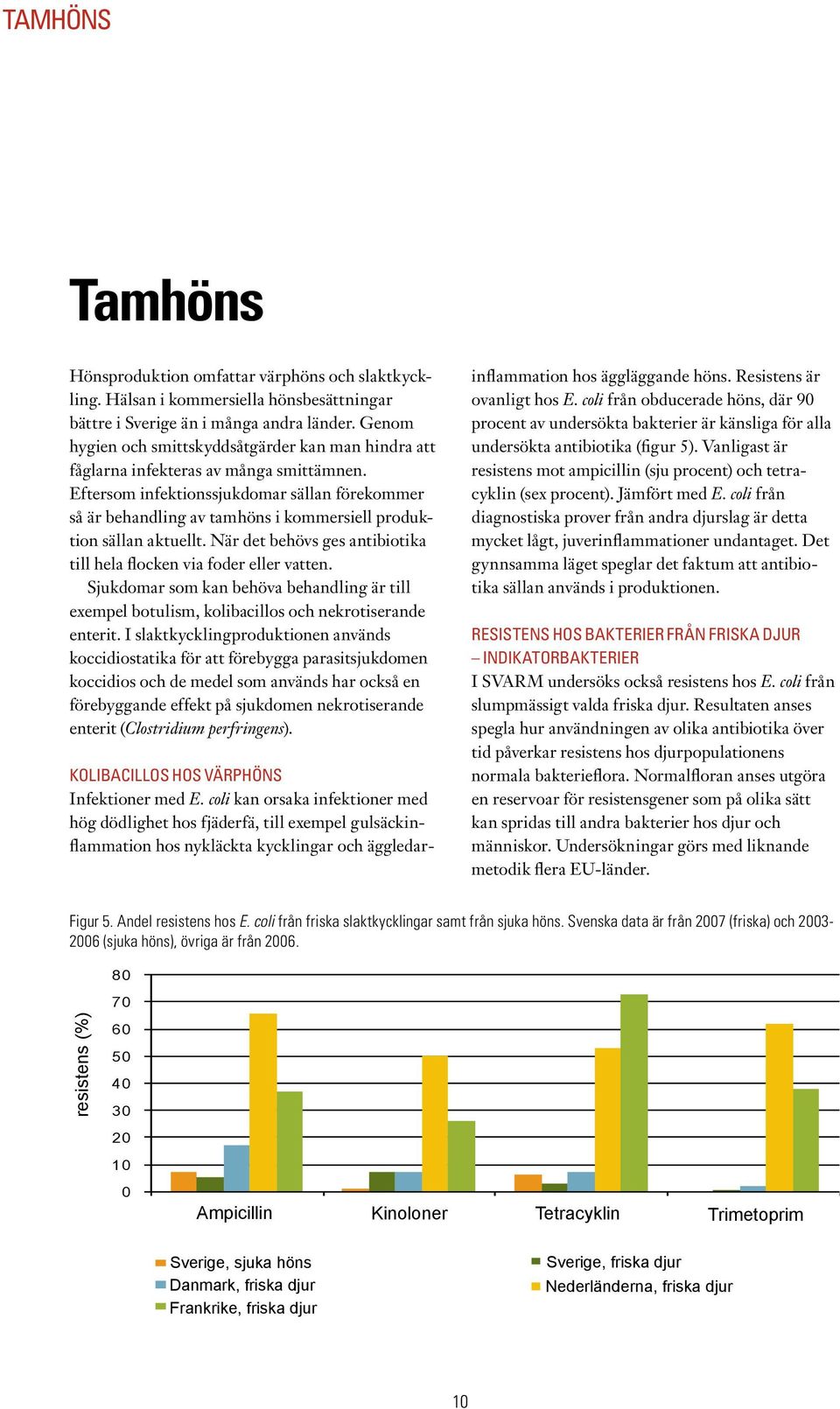 Hälsan i kommersiella hönsbesättningar bättre i Sverige än i många andra länder. Genom hygien och smittskyddsåtgärder kan man hindra att fåglarna infekteras av många smittämnen.