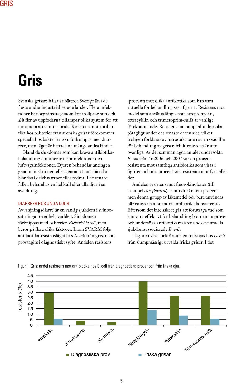 Resistens mot antibiotika hos bakterier från svenska grisar förekommer speciellt hos bakterier som förknippas med diarréer, men läget är bättre än i många andra länder.