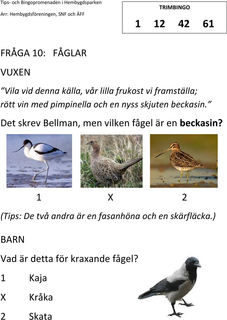 Det skrev Bellman, men vilken fågel är en beckasin?