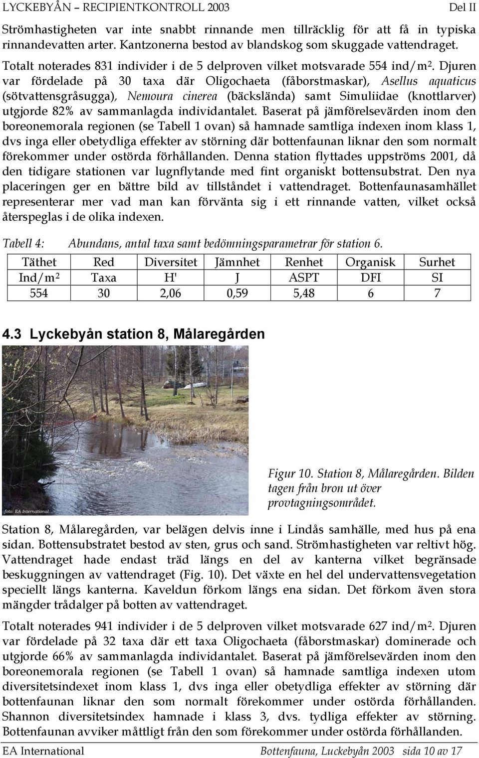 Djuren var fördelade på 30 taxa där Oligochaeta (fåborstmaskar), Asellus aquaticus (sötvattensgråsugga), Nemoura cinerea (bäckslända) samt Simuliidae (knottlarver) utgjorde 82% av sammanlagda