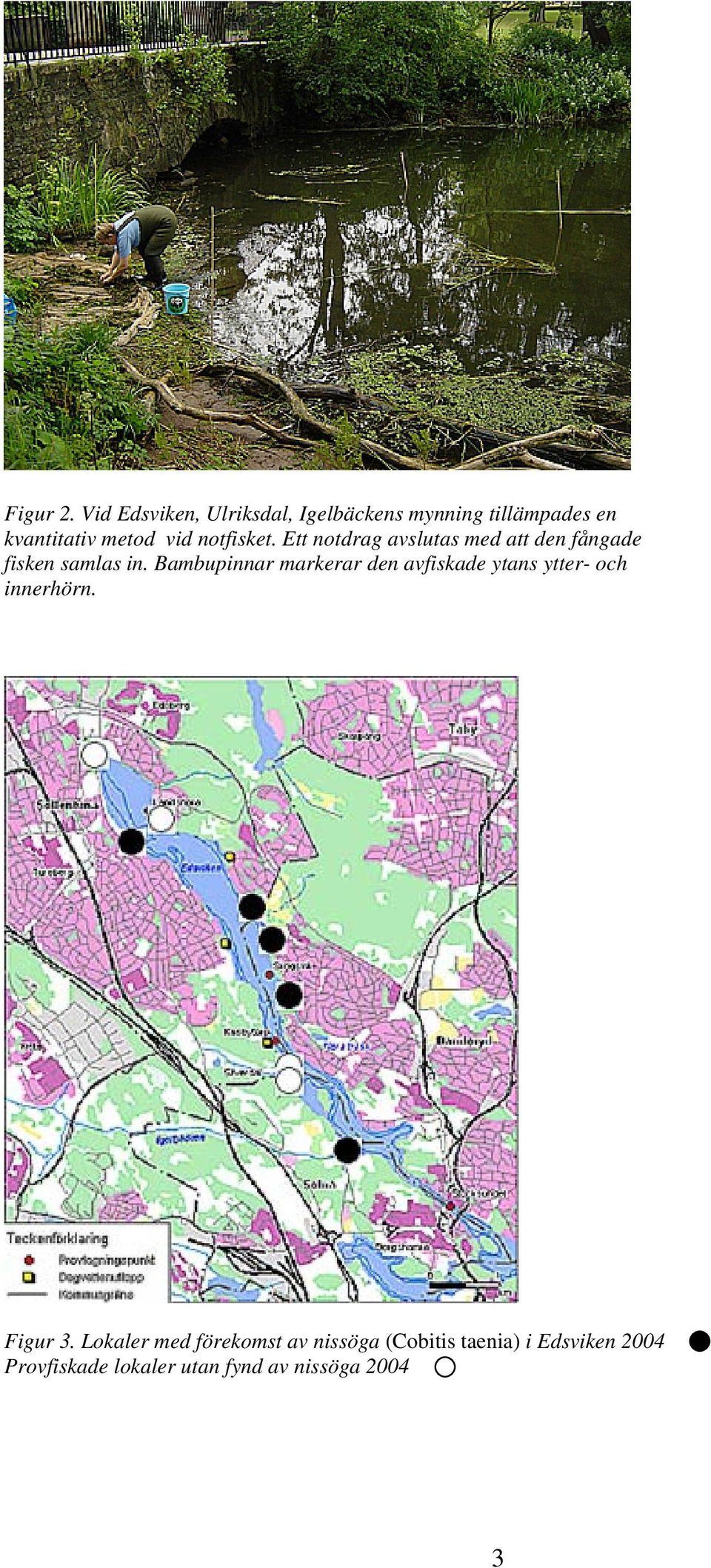 notfisket. Ett notdrag avslutas med att den fångade fisken samlas in.