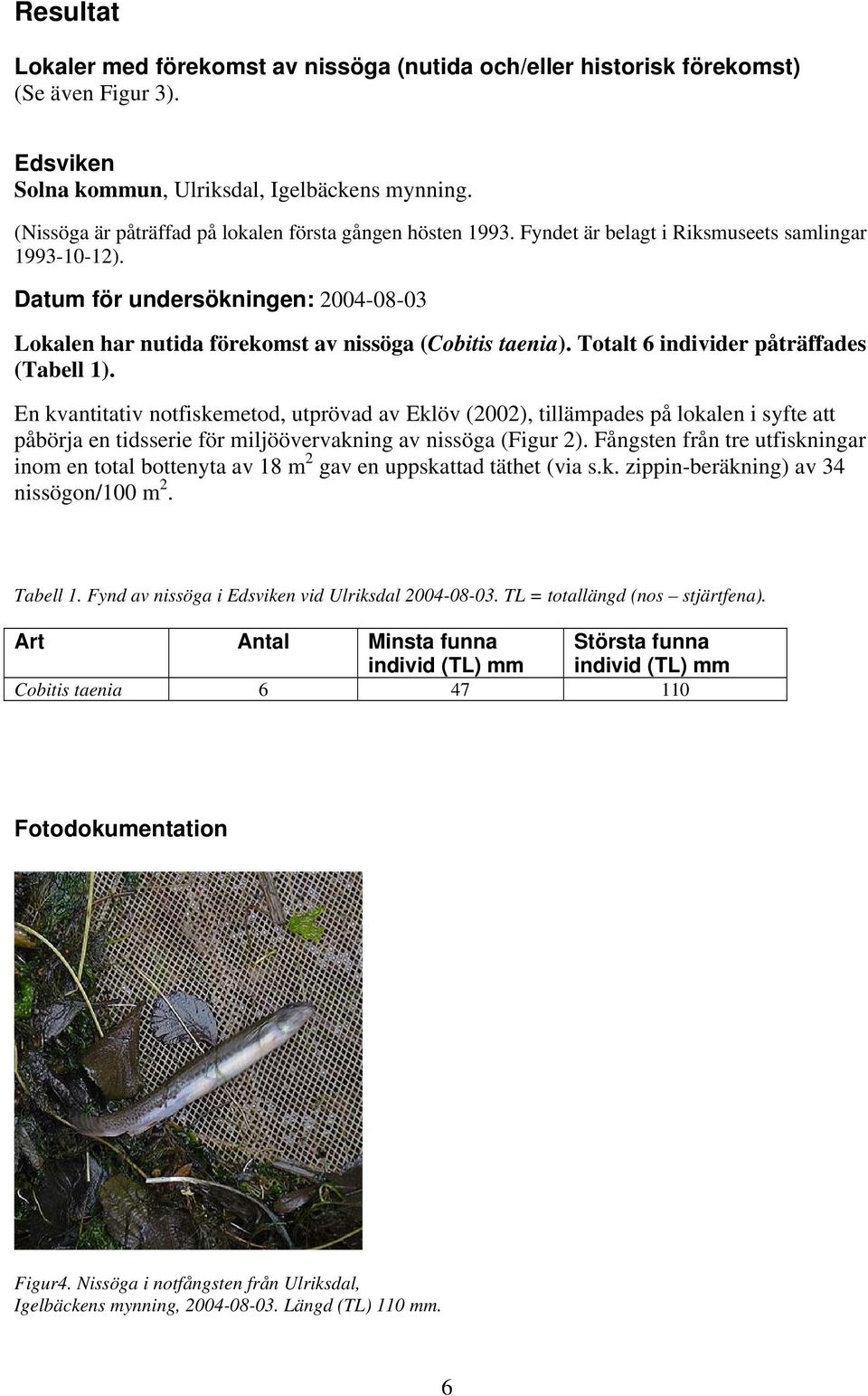 Datum för undersökningen: 2004-08-03 Lokalen har nutida förekomst av nissöga (Cobitis taenia). Totalt 6 individer påträffades (Tabell 1).