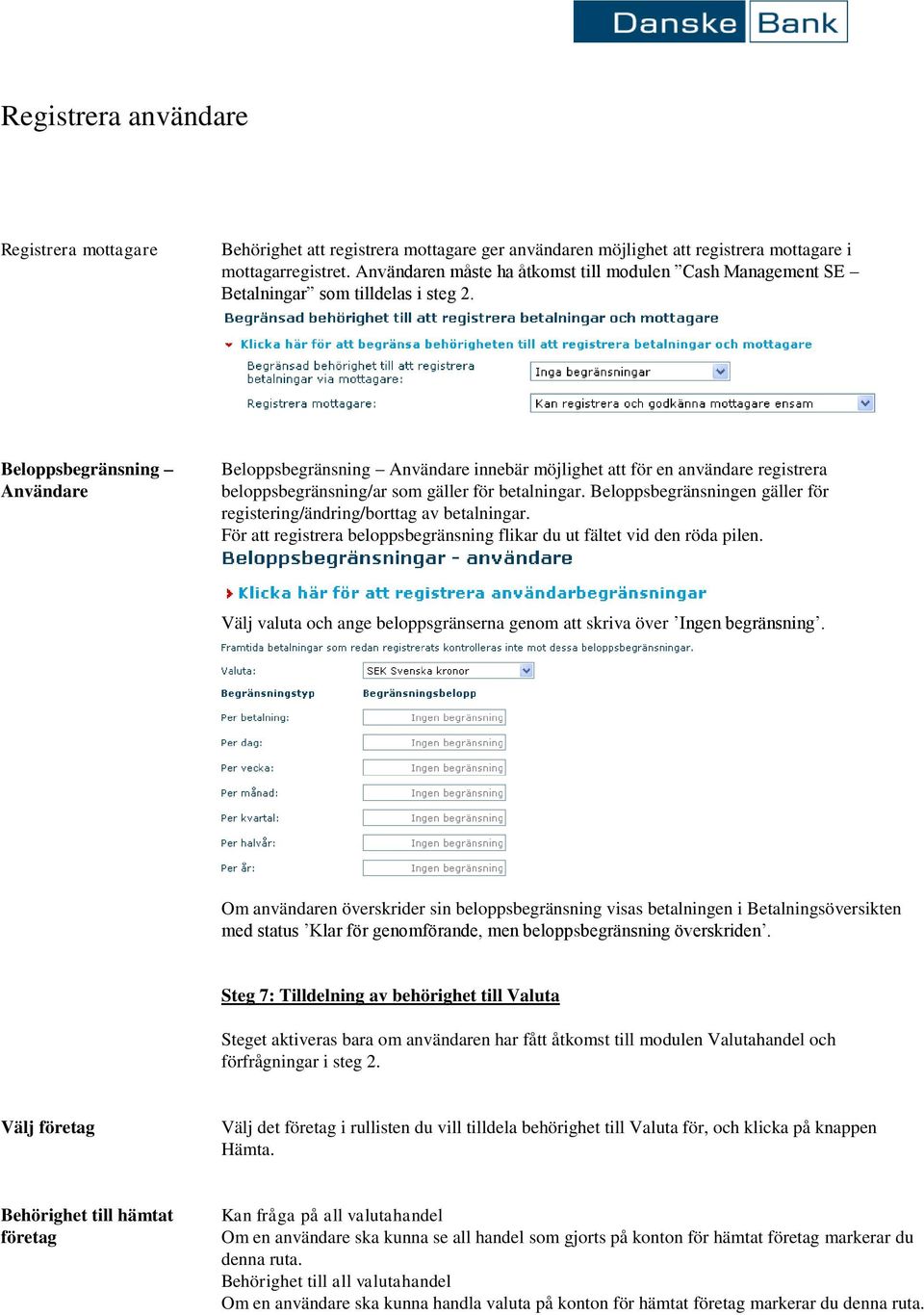 Beloppsbegränsning Användare Beloppsbegränsning Användare innebär möjlighet att för en användare registrera beloppsbegränsning/ar som gäller för betalningar.