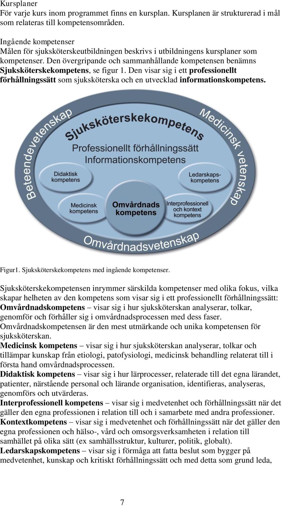 Den övergripande och sammanhållande kompetensen benämns Sjuksköterskekompetens, se figur 1.