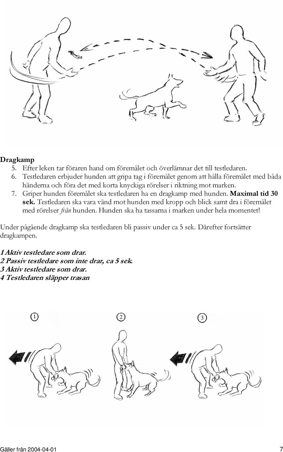 Griper hunden föremålet ska testledaren ha en dragkamp med hunden. Maximal tid 30 sek. Testledaren ska vara vänd mot hunden med kropp och blick samt dra i föremålet med rörelser från hunden.