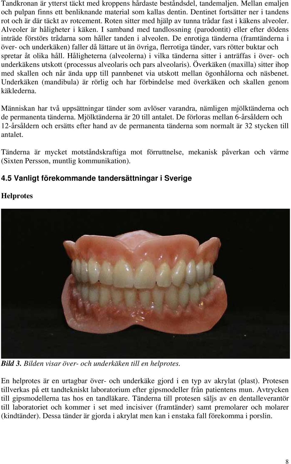 I samband med tandlossning (parodontit) eller efter dödens inträde förstörs trådarna som håller tanden i alveolen.