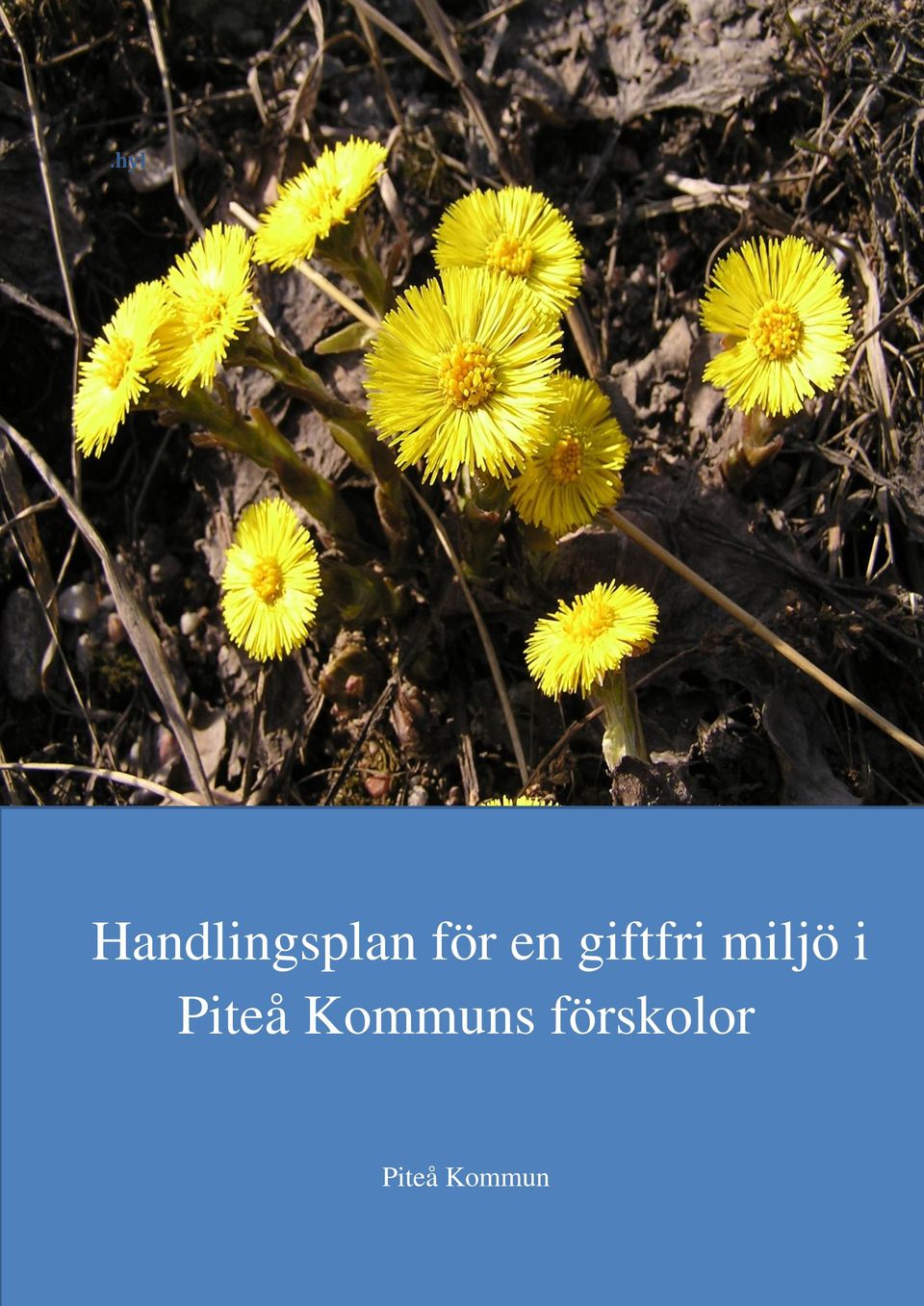 miljö i Piteå