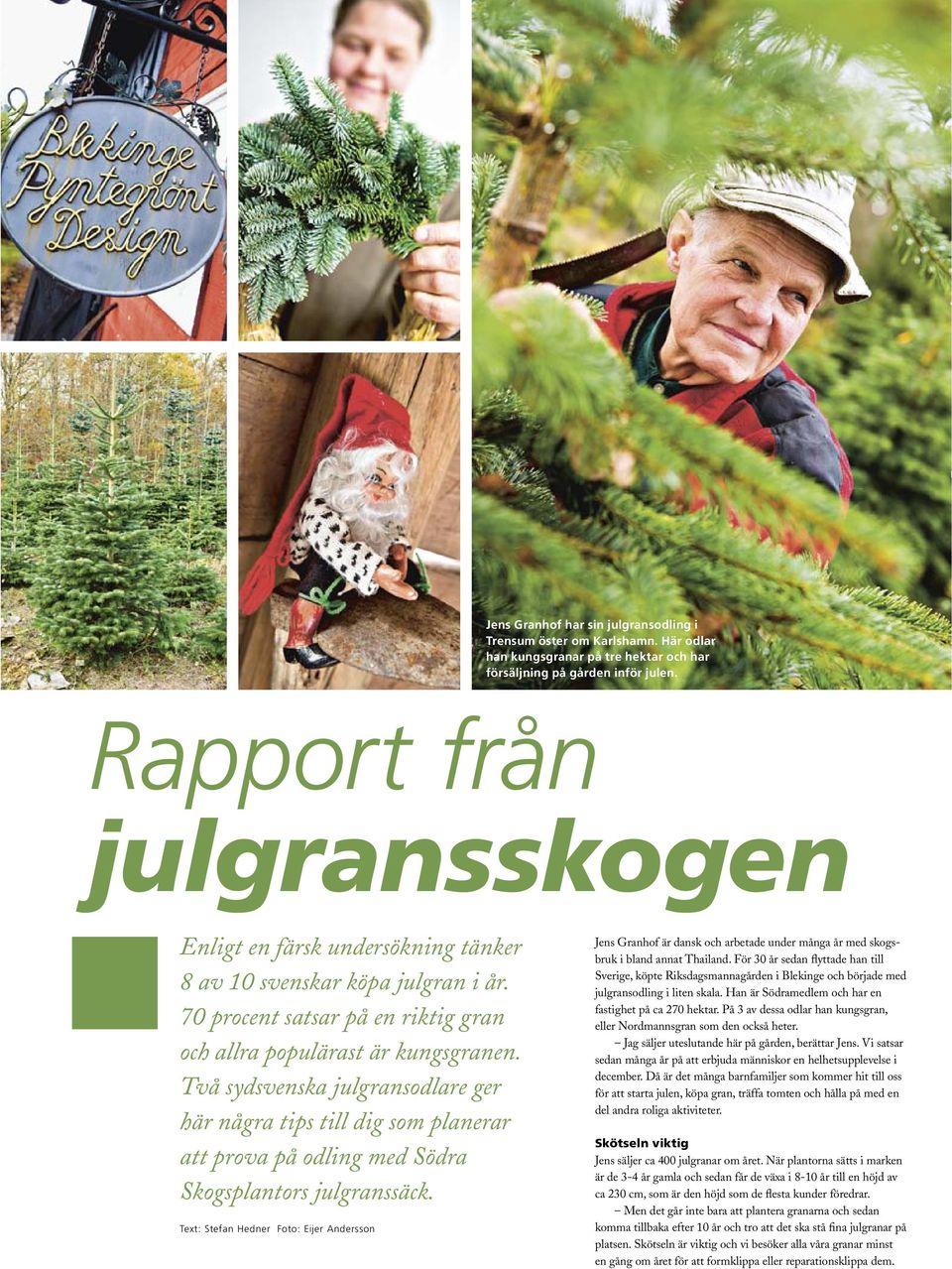 Två sydsvenska julgransodlare ger här några tips till dig som planerar att prova på odling med Södra Skogsplantors julgranssäck.