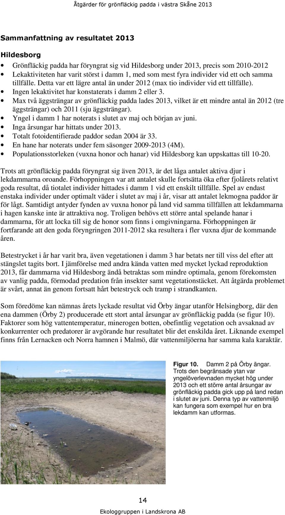 Max två äggsträngar av grönfläckig padda lades 2013, vilket är ett mindre antal än 2012 (tre äggsträngar) och 2011 (sju äggsträngar). Yngel i damm 1 har noterats i slutet av maj och början av juni.