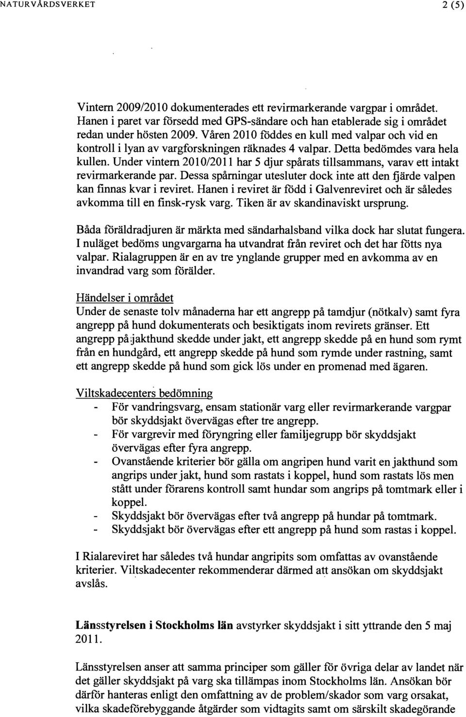 Under vintem 2010/2011 har 5 djur spårats tillsammans, varav ett intakt revirmarkerande par. Dessa spåmingar utesluter dock inte att den fjärde valpen kan finnas kvar i reviret.