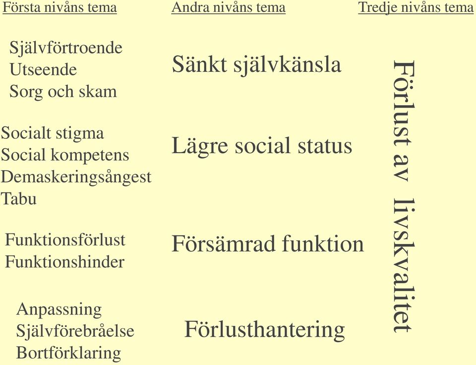 Funktionsförlust Funktionshinder Anpassning Självförebråelse Bortförklaring