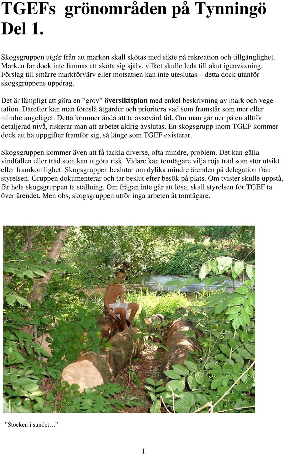 Det är lämpligt att göra en grov översiktsplan med enkel beskrivning av mark och vegetation. Därefter kan man föreslå åtgärder och prioritera vad som framstår som mer eller mindre angeläget.