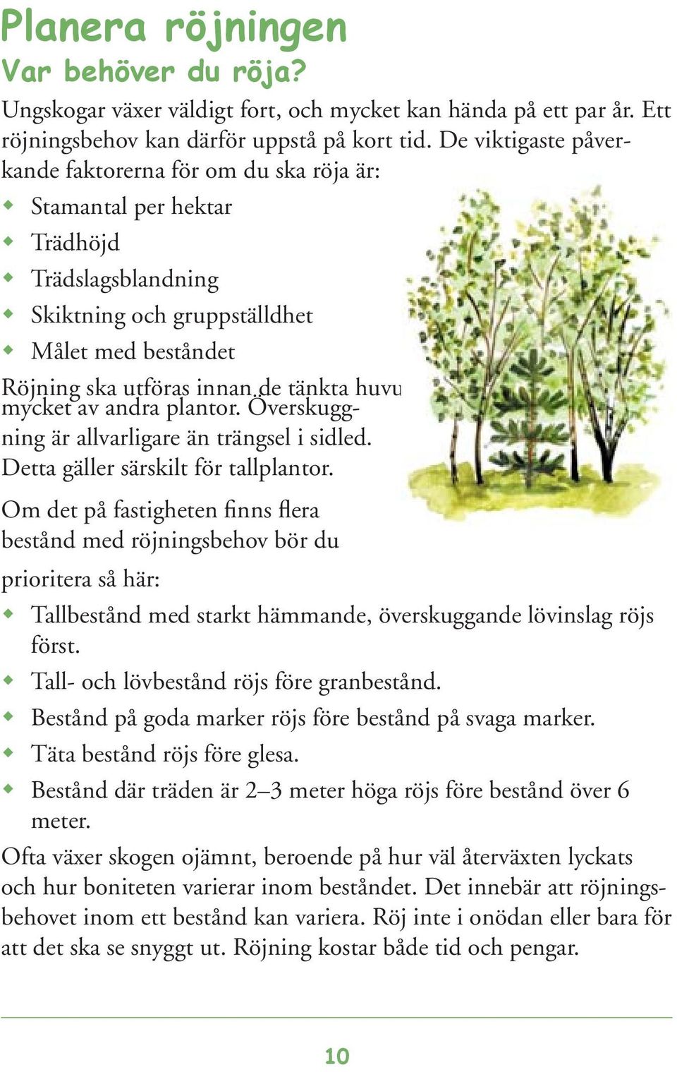 huvudplantorna hämmas alltför mycket av andra plantor. Överskuggning är allvarligare än trängsel i sidled. Detta gäller särskilt för tallplantor.