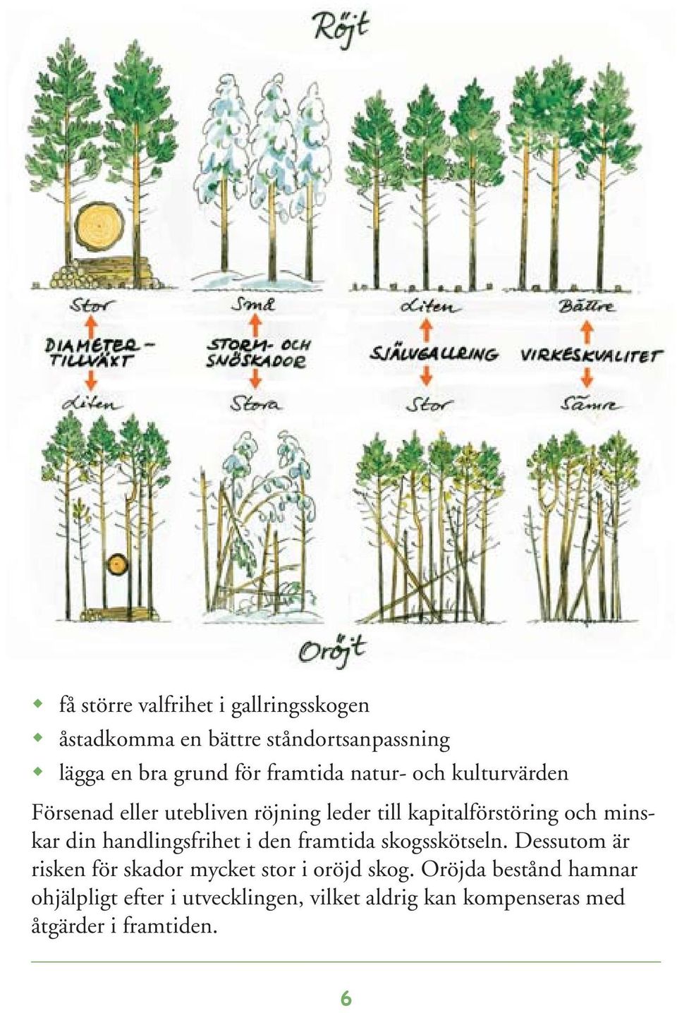 din handlingsfrihet i den framtida skogsskötseln. Dessutom är risken för skador mycket stor i oröjd skog.