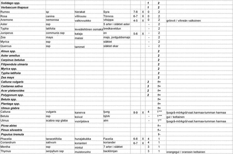 släktet aster - 2 Typha latifolia leveälehtinen osmakämi bredkaveldun - 2 Juniperus communis ssp kataja en 5-6 X - 2 Zea communis mays maissi majs, jordgubbsmajs - 2 Myrica ssp släktet - 2 Quercus