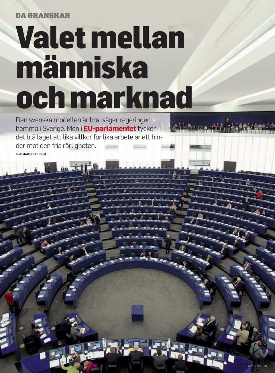 Men i EU-parlamentet tycker det blå laget att lika villkor för lika