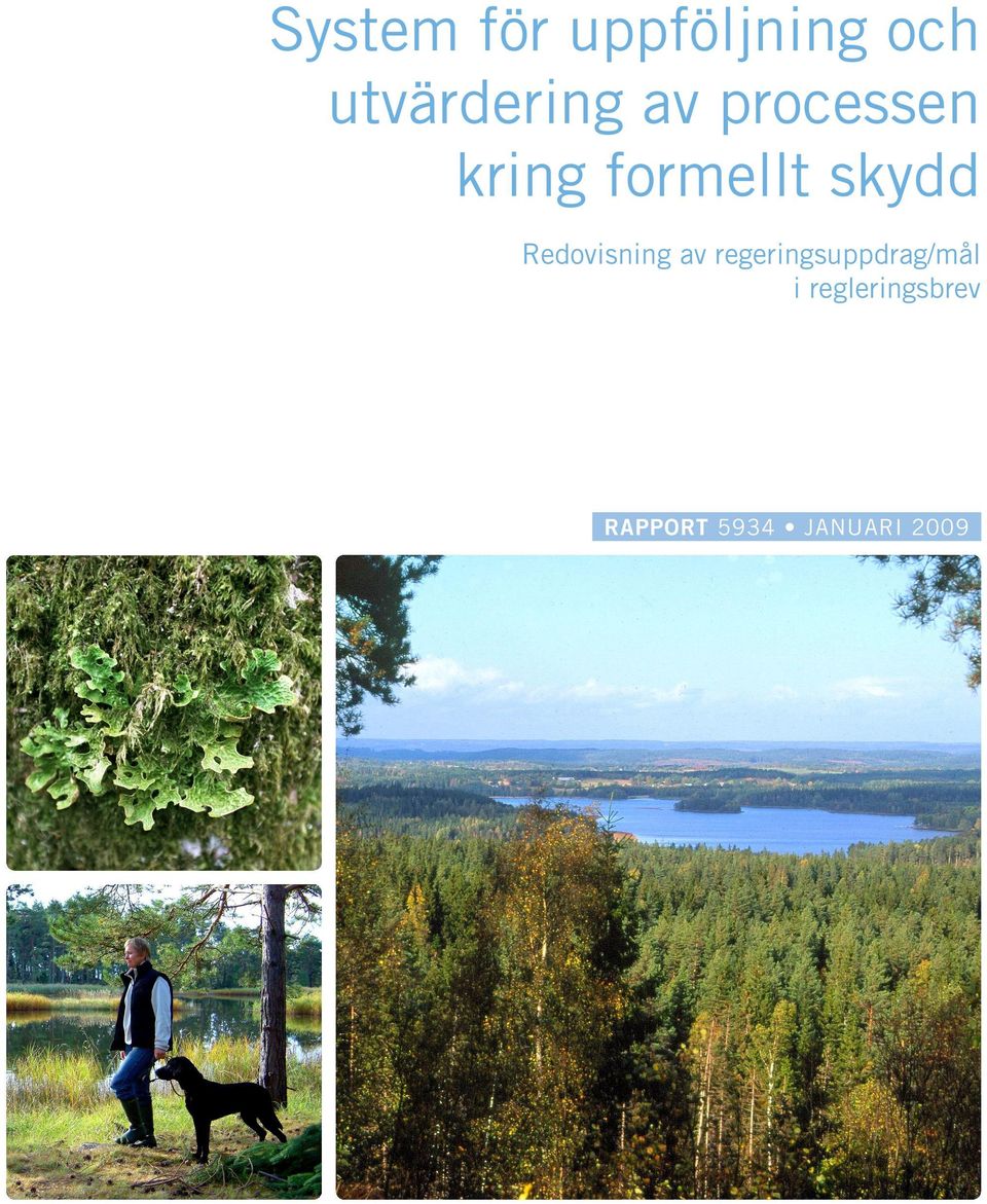 formellt skydd Redovisning av