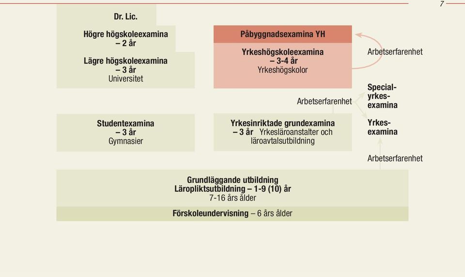 Påbyggnadsexamina YH Yrkeshögskoleexamina 3-4 år Yrkeshögskolor Yrkesinriktade grundexamina 3 år