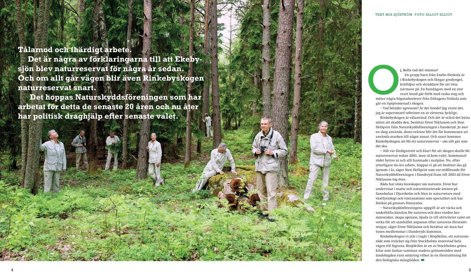 Oj, kolla vad det simmar! En grupp barn från Enebo förskola är i Rinkebyskogen och fångar grodyngel, kräftdjur och skräddare för att titta närmare på.