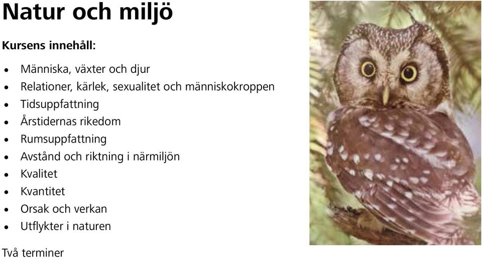 rikedom Rumsuppfattning Avstånd och riktning i närmiljön