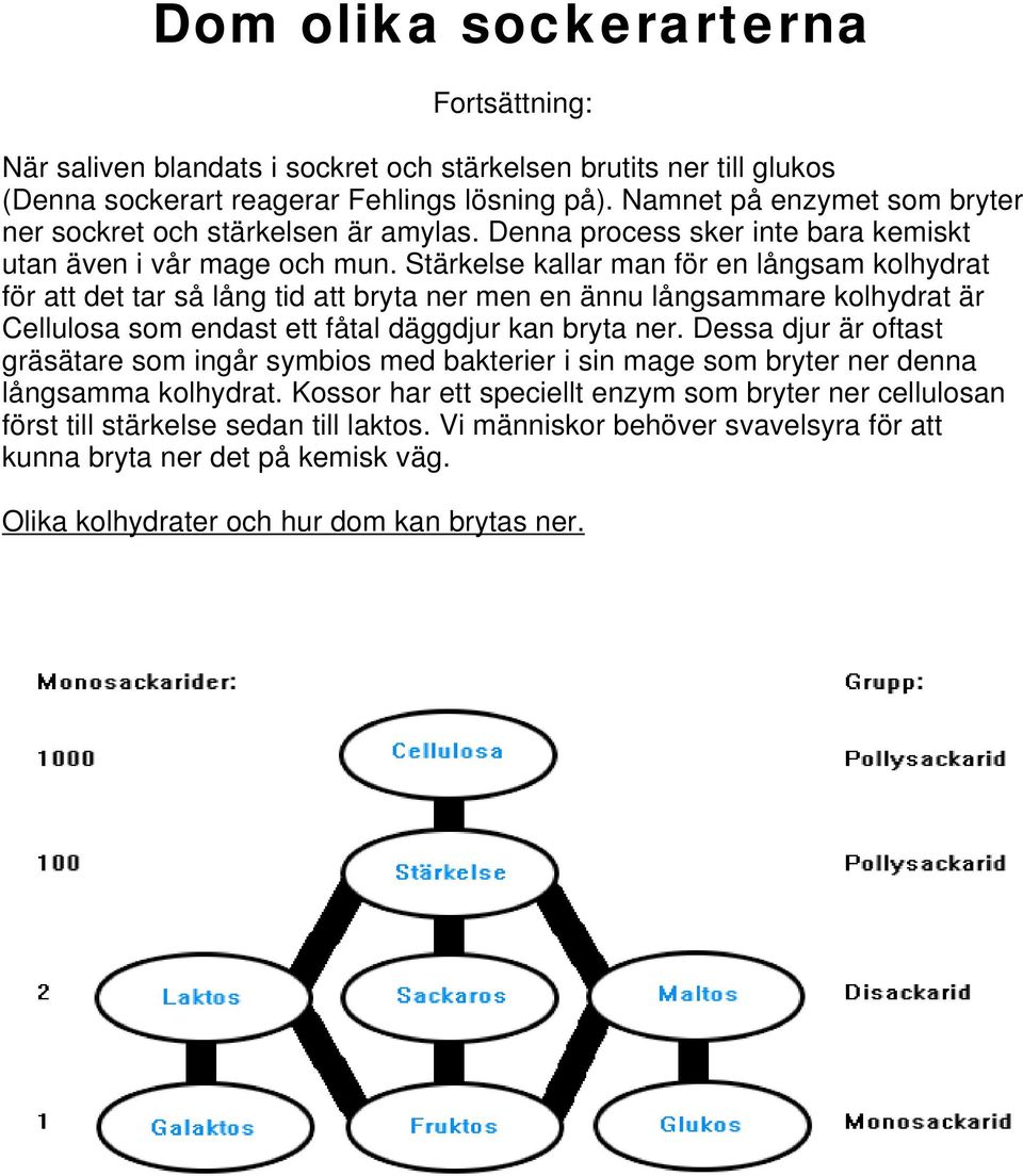 Stärkelse kallar man för en långsam kolhydrat för att det tar så lång tid att bryta ner men en ännu långsammare kolhydrat är Cellulosa som endast ett fåtal däggdjur kan bryta ner.