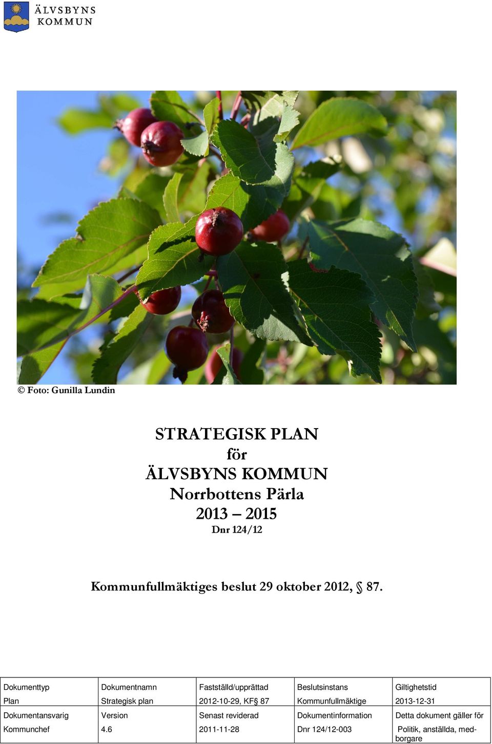 Dokumenttyp Dokumentnamn Fastställd/upprättad Beslutsinstans Giltighetstid Plan Strategisk plan 2012-10-29, KF