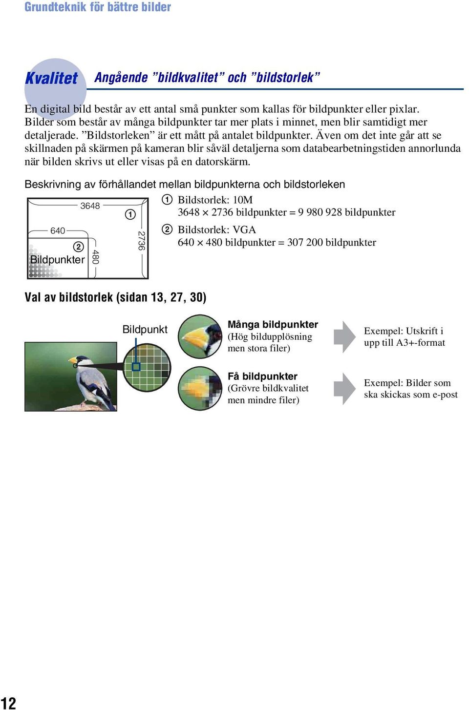 Även om det inte går att se skillnaden på skärmen på kameran blir såväl detaljerna som databearbetningstiden annorlunda när bilden skrivs ut eller visas på en datorskärm.