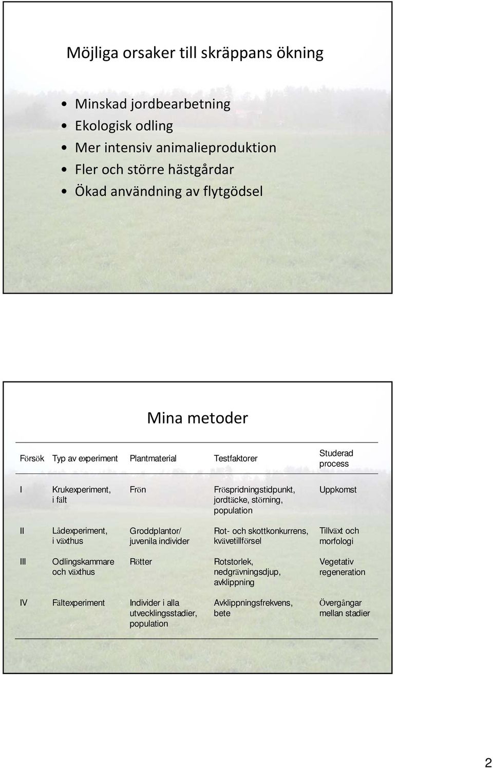 II Lådexperiment, i växthus Groddplantor/ juvenila individer Rot- och skottkonkurrens, kvävetillförsel Tillväxt och morfologi III Odlingskammare och växthus Rötter Rotstorlek,