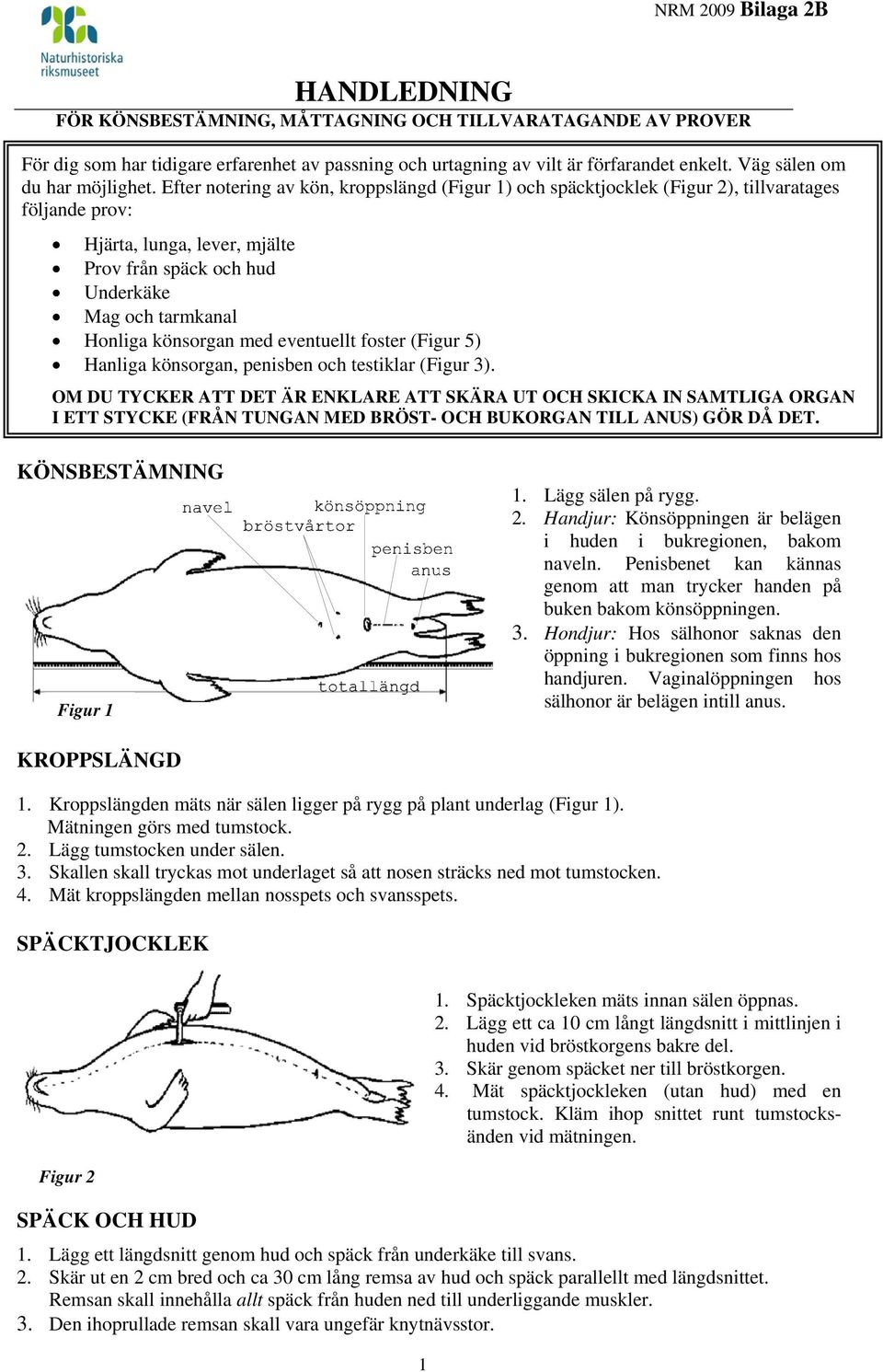 Efter notering av kön, kroppslängd (Figur 1) och späcktjocklek (Figur 2), tillvaratages följande prov: Hjärta, lunga, lever, mjälte Prov från späck och hud Underkäke Mag och tarmkanal Honliga