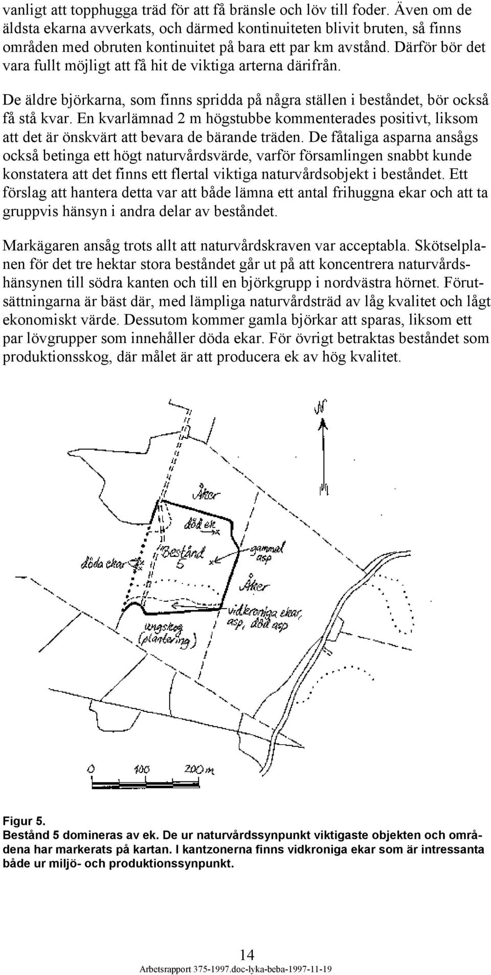 Därför bör det vara fullt möjligt att få hit de viktiga arterna därifrån. De äldre björkarna, som finns spridda på några ställen i beståndet, bör också få stå kvar.