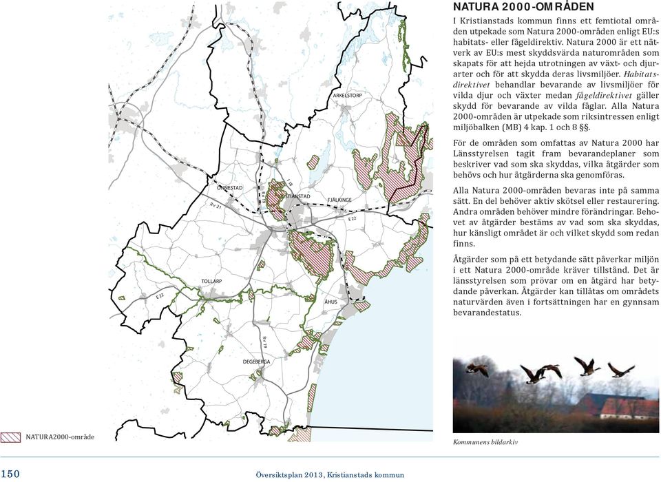 Habitatsdirektivet behandlar bevarande av livsmiljöer för vilda djur och växter medan fågeldirektivet gäller skydd för bevarande av vilda fåglar.