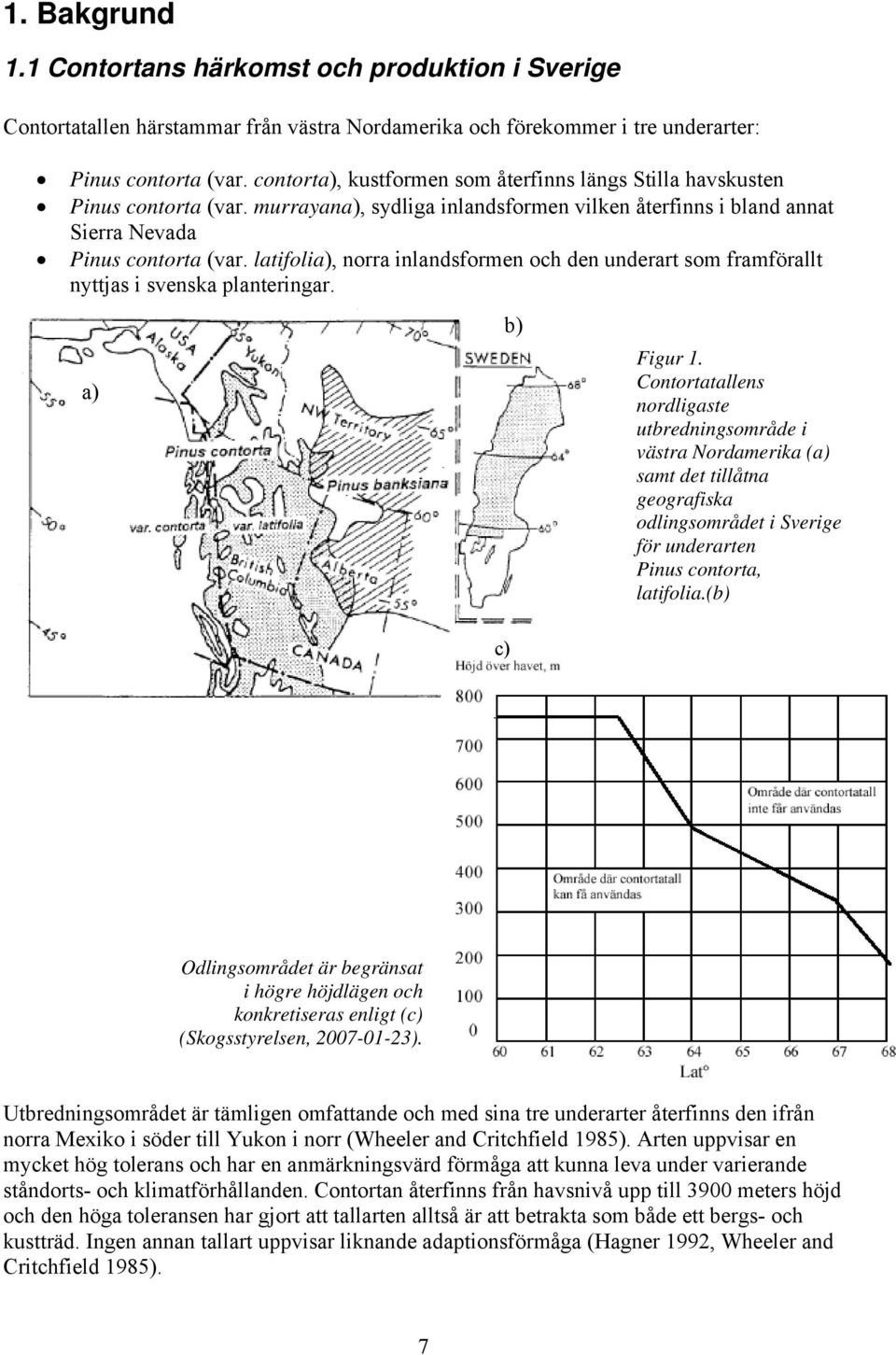 latifolia), norra inlandsformen och den underart som framförallt nyttjas i svenska planteringar. a) c) b) Figur 1.