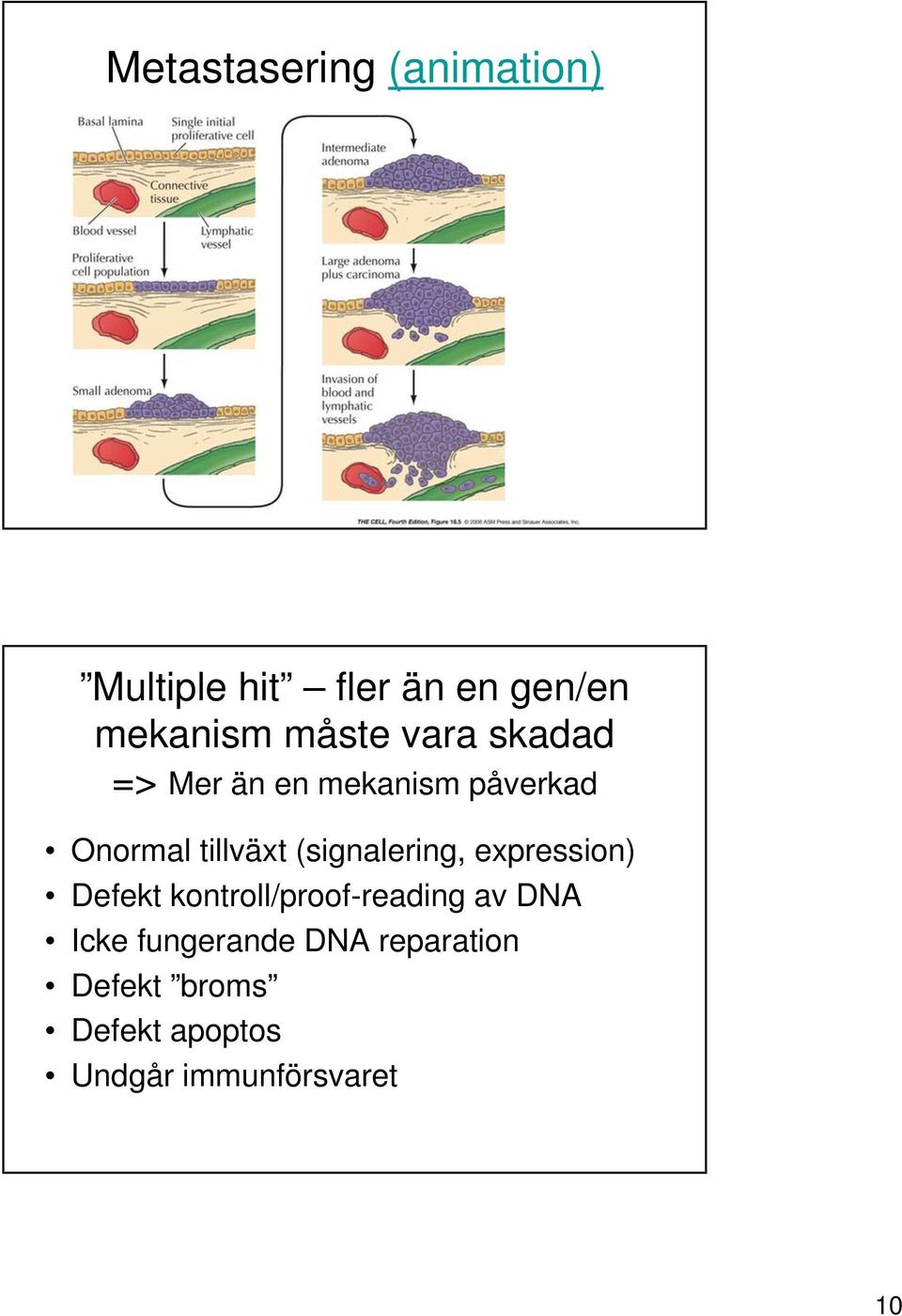 (signalering, expression) Defekt kontroll/proof-reading av DNA Icke