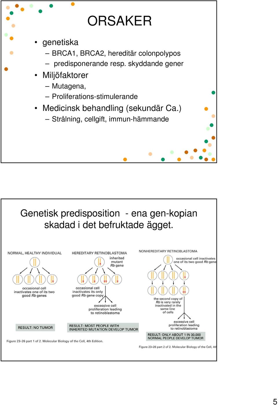 Proliferations-stimulerande Medicinsk behandling (sekundär Ca.