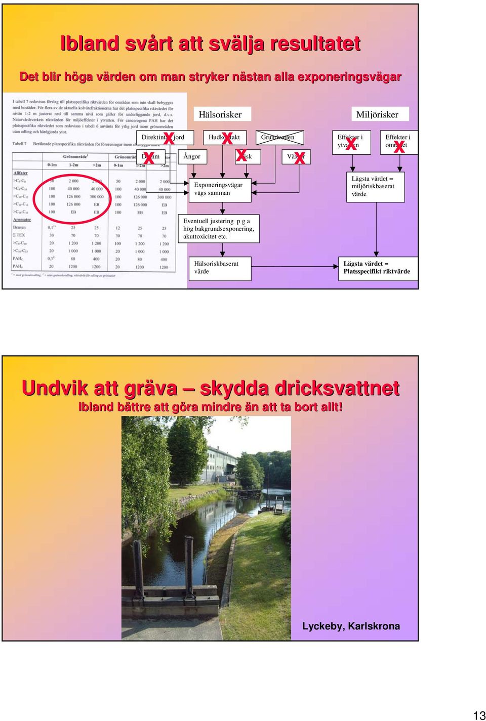 miljöriskbaserat värde x Effekter i området Eventuell justering p g a hög bakgrundsexponering, akuttoxicitet etc.