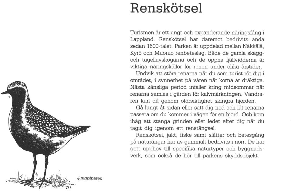 Undvik att störa renarna n du som turist rör dig i omrädet, i synnerhet pä ven n korna dräktiga. Nästa känsliga period infaller kring midsommar n renarna samlas i gden för kalvmkningen.