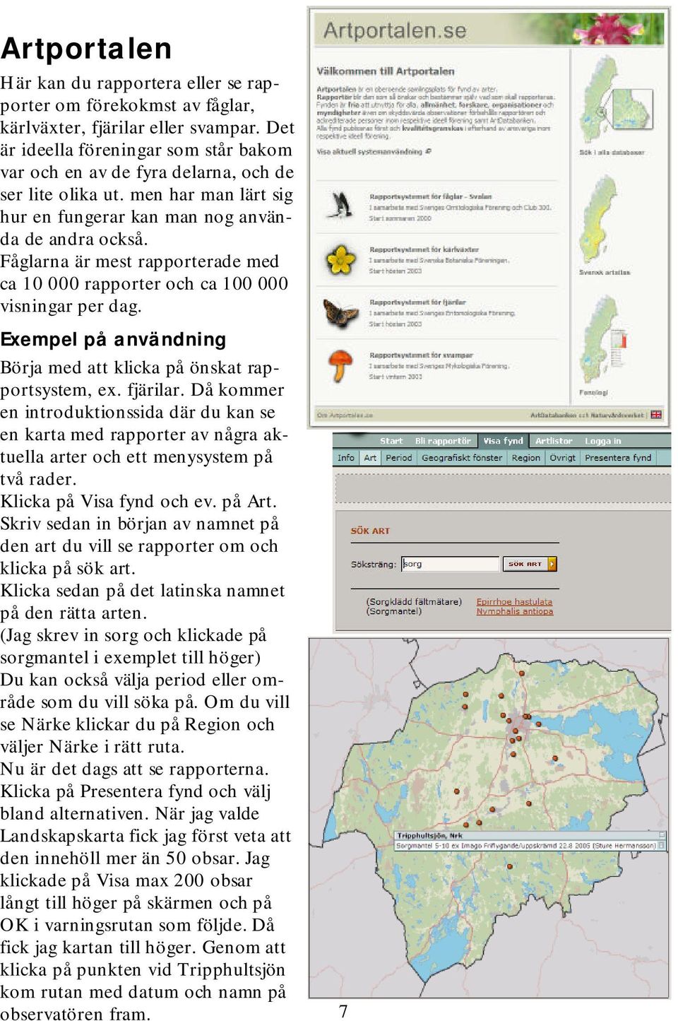 Fåglarna ärm estrapporterade m ed ca 10 000 rapporteroch ca 100 000 visningarperdag. Exempel på användning Börja m ed attklicka på önskatrapportsystem,ex.fjärilar.