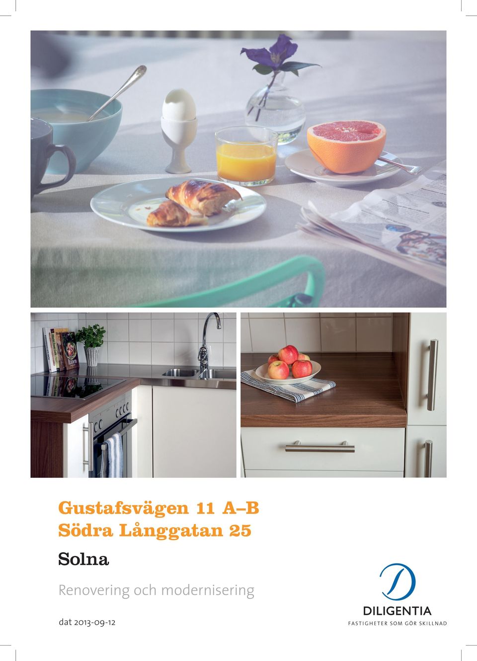 Solna Renovering och